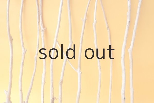 画像5: 小枝流木セット (5)