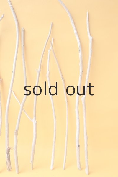 画像3: 小枝流木セット (3)