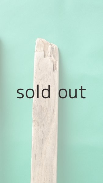 画像3: 板流木セット (3)