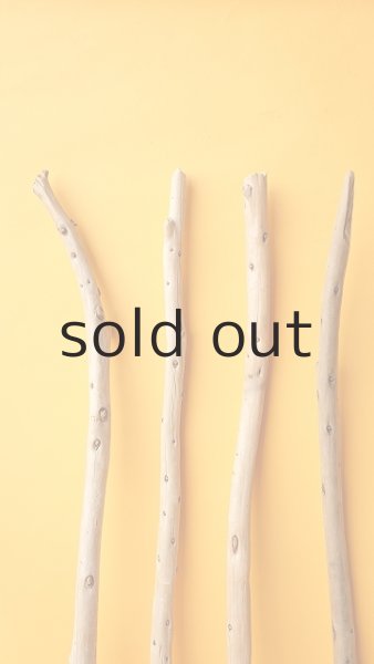 画像4: 棒流木セット (4)