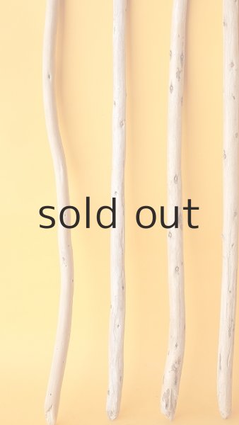 画像5: 棒流木セット (5)