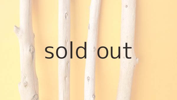 画像3: 棒流木セット (3)