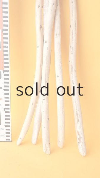 画像7: 棒流木セット (7)