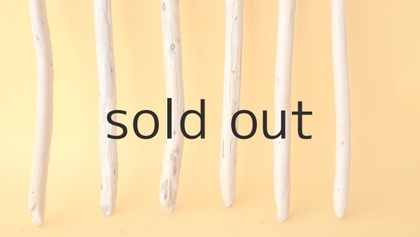 画像2: 棒流木セット (2)