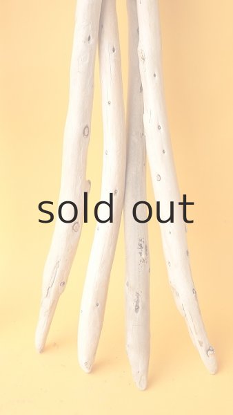 画像5: 棒流木セット (5)