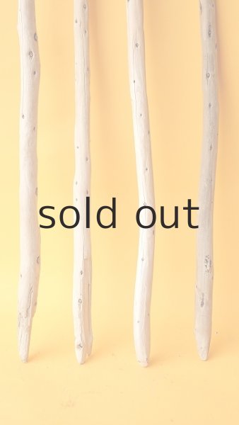 画像2: 棒流木セット (2)