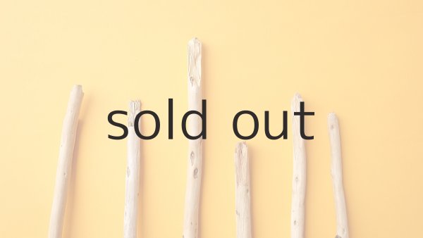 画像4: 棒流木セット (4)