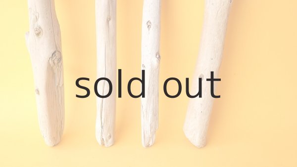 画像2: 棒流木セット (2)