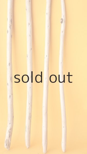 画像6: 棒流木セット (6)