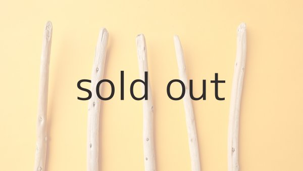 画像4: 棒流木セット (4)