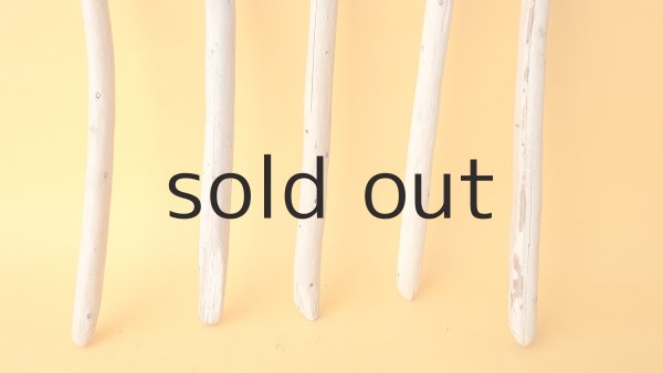 画像2: 棒流木セット (2)