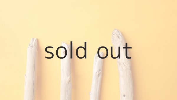 画像4: 棒流木セット (4)