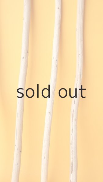 画像6: 棒流木セット (6)