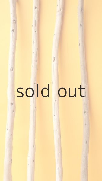 画像3: 棒流木セット (3)