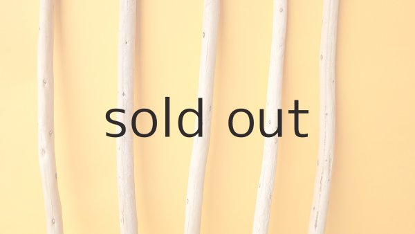 画像3: 棒流木セット (3)