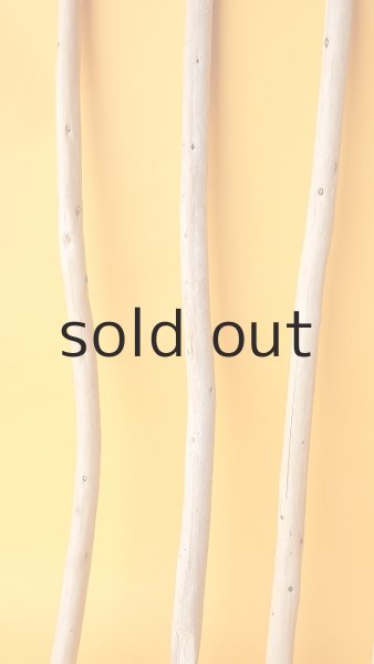 画像5: 棒流木セット (5)