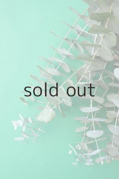 画像3: Dry plants for decor ユーカリ2種シンプルスワッグ (3)