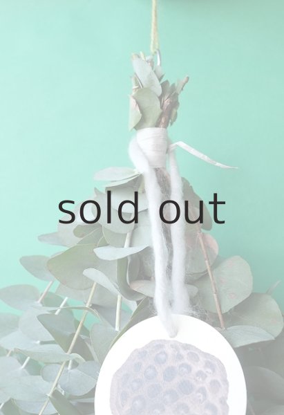 画像2: Dry plants for decor ユーカリ2種シンプルスワッグ (2)