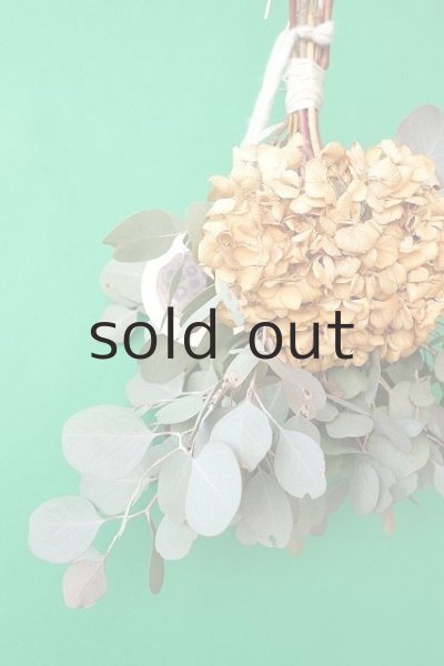 画像3: Dry plants for decor ユーカリ+ドライアジサイシンプルスワッグ (3)