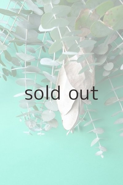 画像4: Dry plants for decor ユーカリ2種シンプルスワッグ (4)