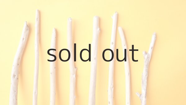 画像3: 棒流木セット (3)