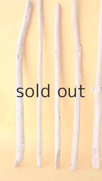 画像4: 棒流木セット (4)