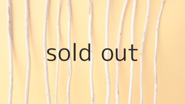 画像3: 棒流木セット (3)