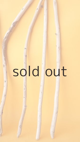 画像6: 棒流木セット (6)