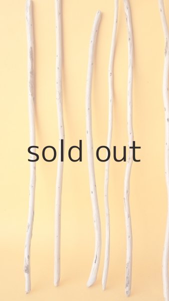 画像5: 棒流木セット (5)