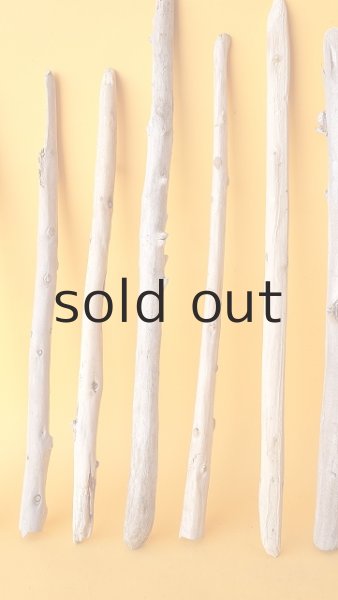 画像5: 棒流木セット (5)