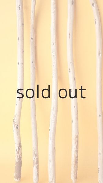 画像5: 棒流木セット (5)