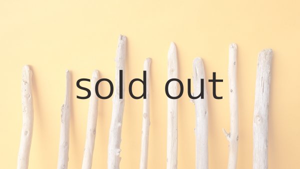 画像3: 棒流木セット (3)