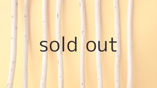 画像3: 棒流木セット (3)