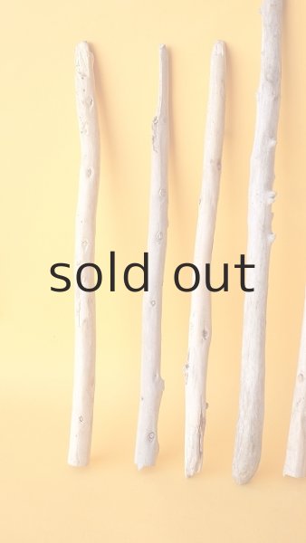 画像4: 棒流木セット (4)