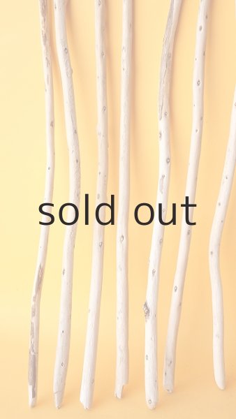 画像5: 棒流木セット (5)