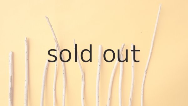 画像4: 棒流木セット (4)