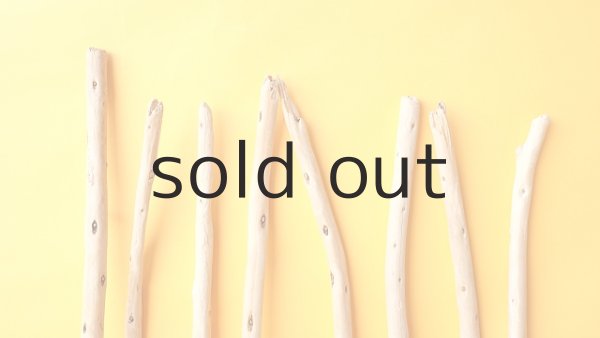 画像4: 棒流木セット (4)