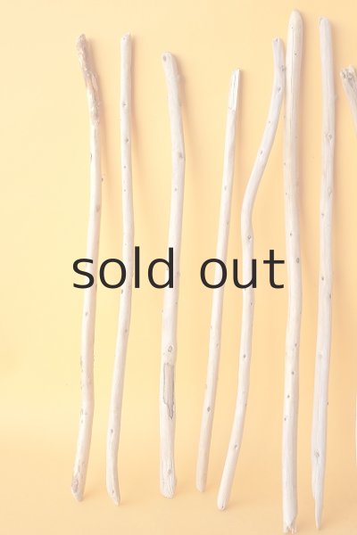 画像2: 棒流木セット (2)