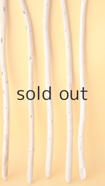 画像6: 棒流木セット (6)