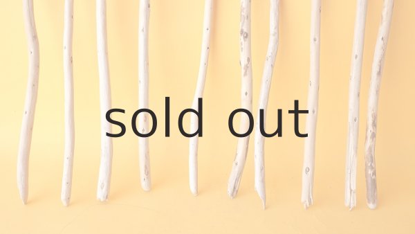 画像2: 棒流木セット (2)