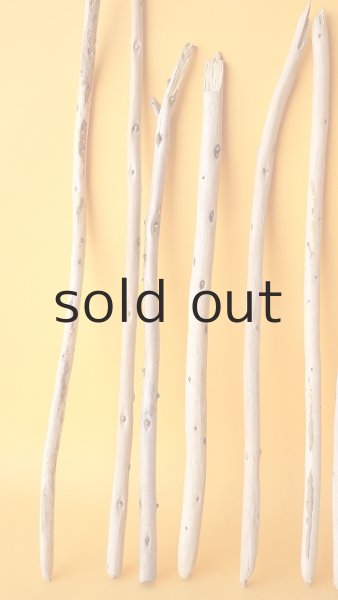 画像4: 棒流木セット (4)