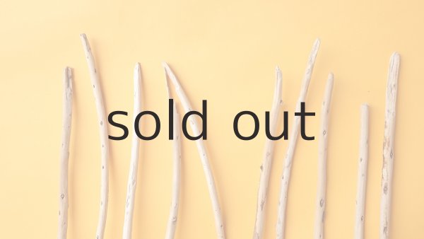 画像4: 棒流木セット (4)