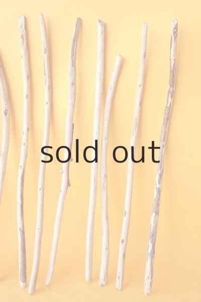 画像4: 棒流木セット (4)