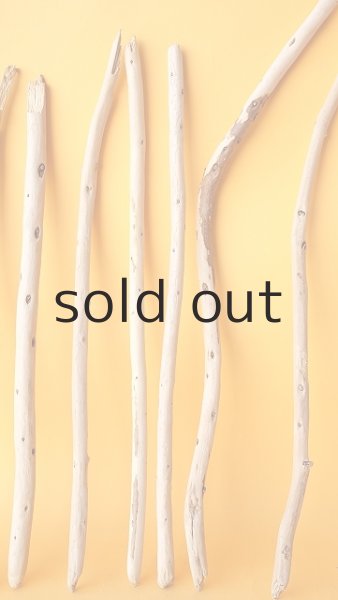 画像5: 棒流木セット (5)