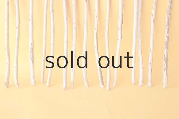 画像5: 棒流木セット (5)