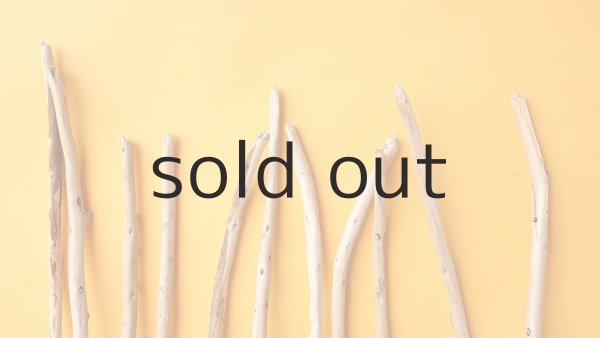 画像4: 棒流木セット (4)