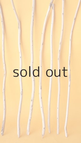 画像6: 棒流木セット (6)