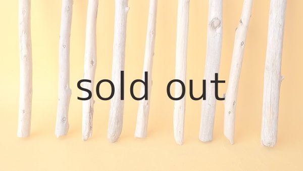 画像2: 棒流木セット (2)