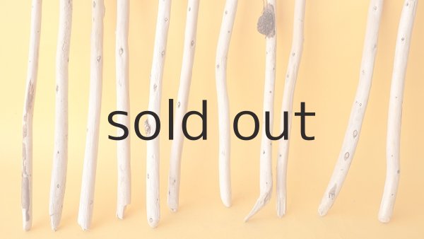 画像2: 棒流木セット (2)