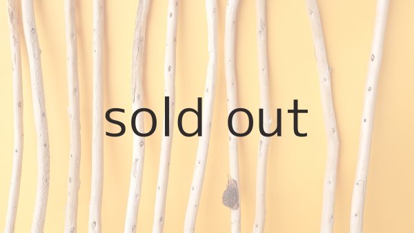 画像3: 棒流木セット (3)